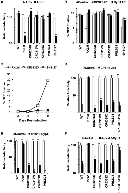 HIV-1 CTL escape variants invariably preserve CA-CPSF6 interactions <i>in vivo</i> during their evasion from the restrictive action of CPSF6.