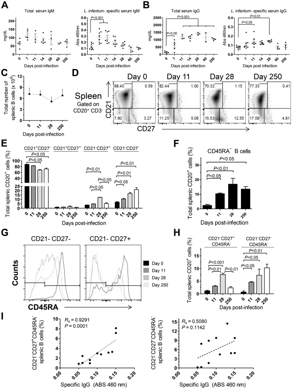 Humoral response and splenic B cell dynamics in <i>L. infantum</i>-infected rhesus macaques.