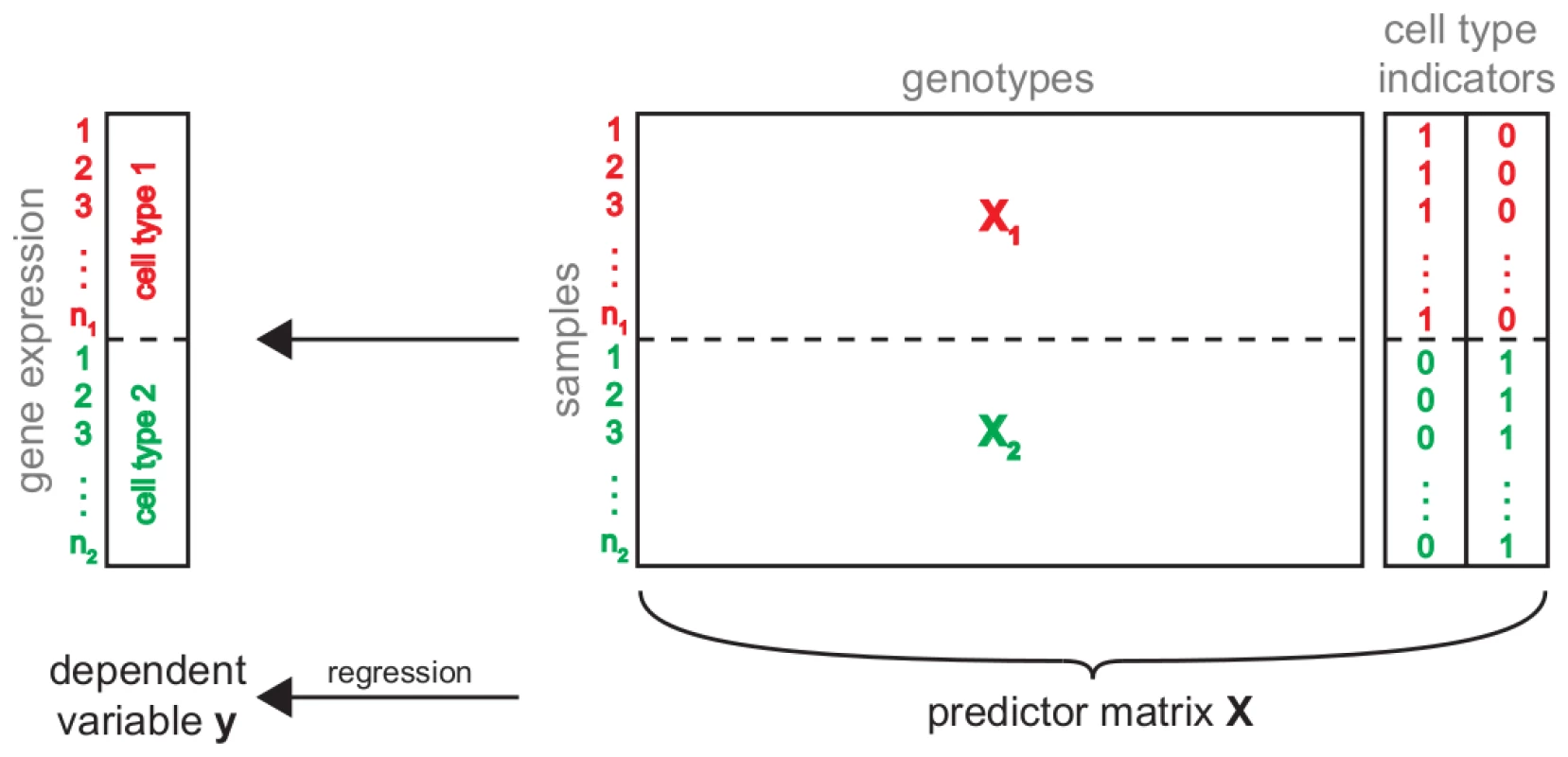 Simultaneous eQTL mapping.