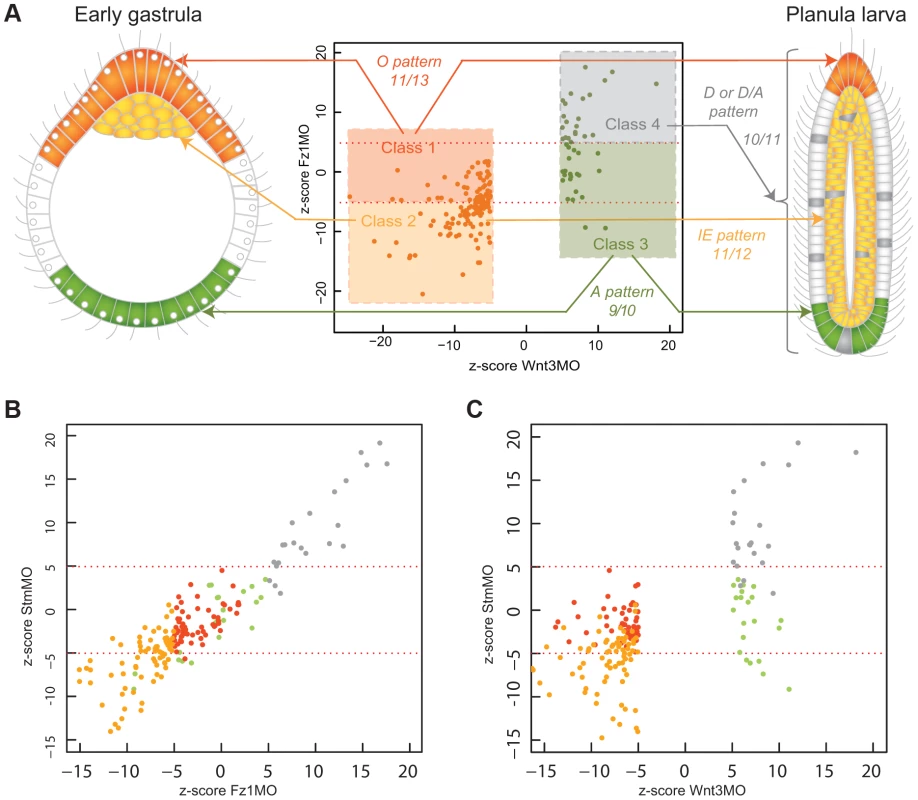 DGE responses correlate with spatial expression profiles.