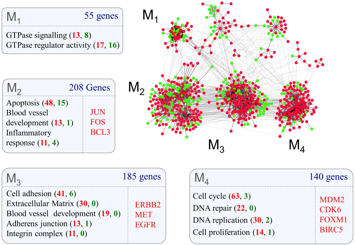 Protein-protein interaction networks representing glioma grade transition reveal functionally distinct modules.