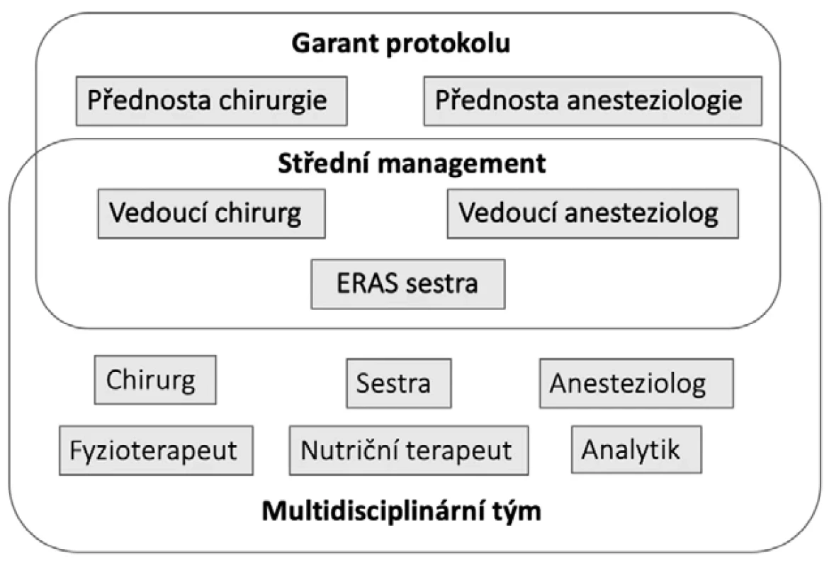 Struktura ERAS týmu   Fig. 2: Structure of the ERAS team