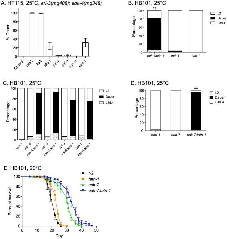 Tyrosine aminotransferase mutations enhance <i>eak</i> dauer and lifespan phenotypes.