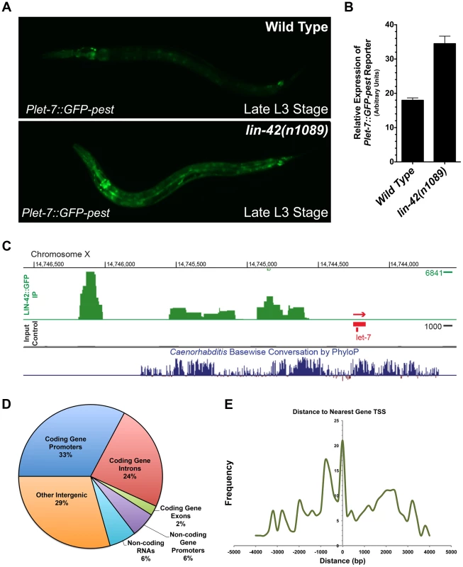 LIN-42 binds to the putative regulatory regions of both miRNAs and mRNAs.