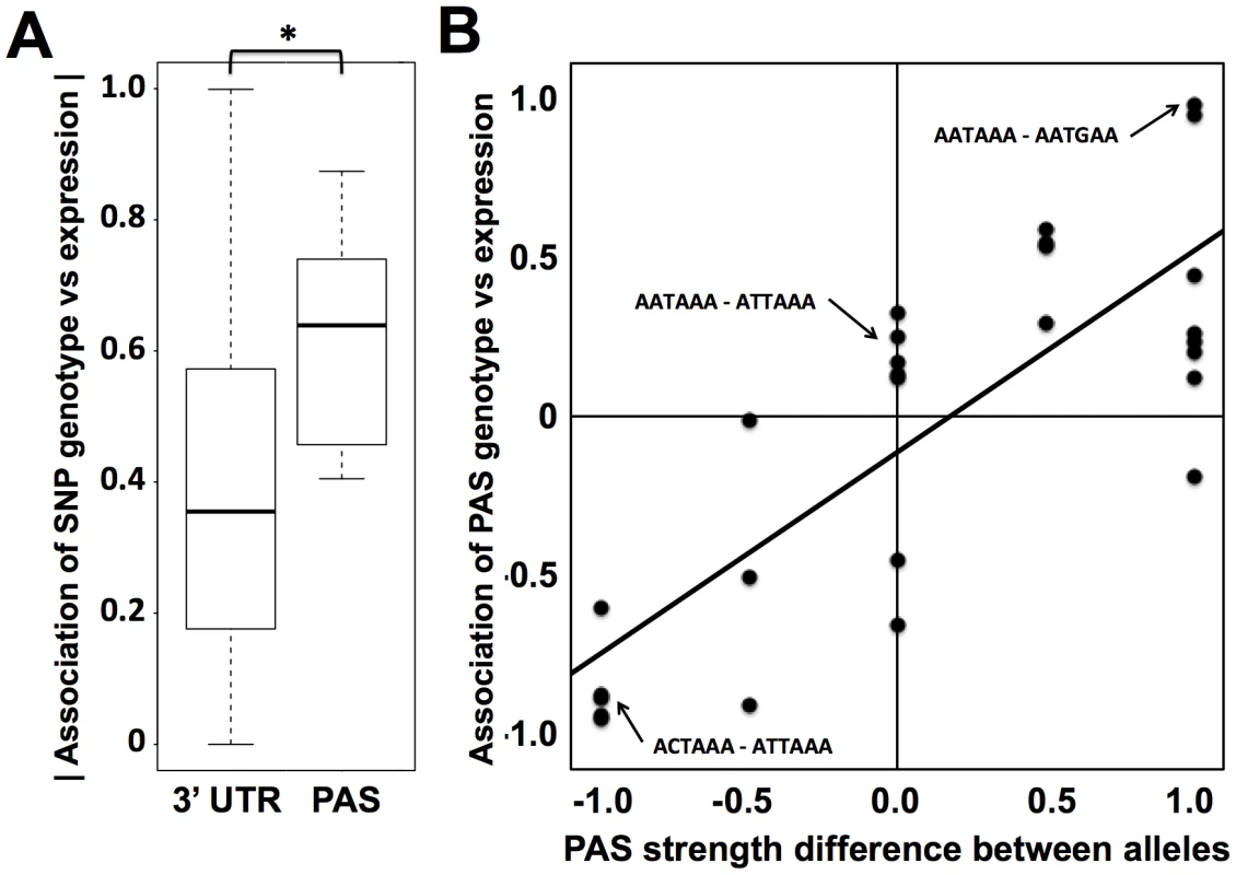 Sequence variation in polyadenylation signals as a predictor of expression change across human individuals.