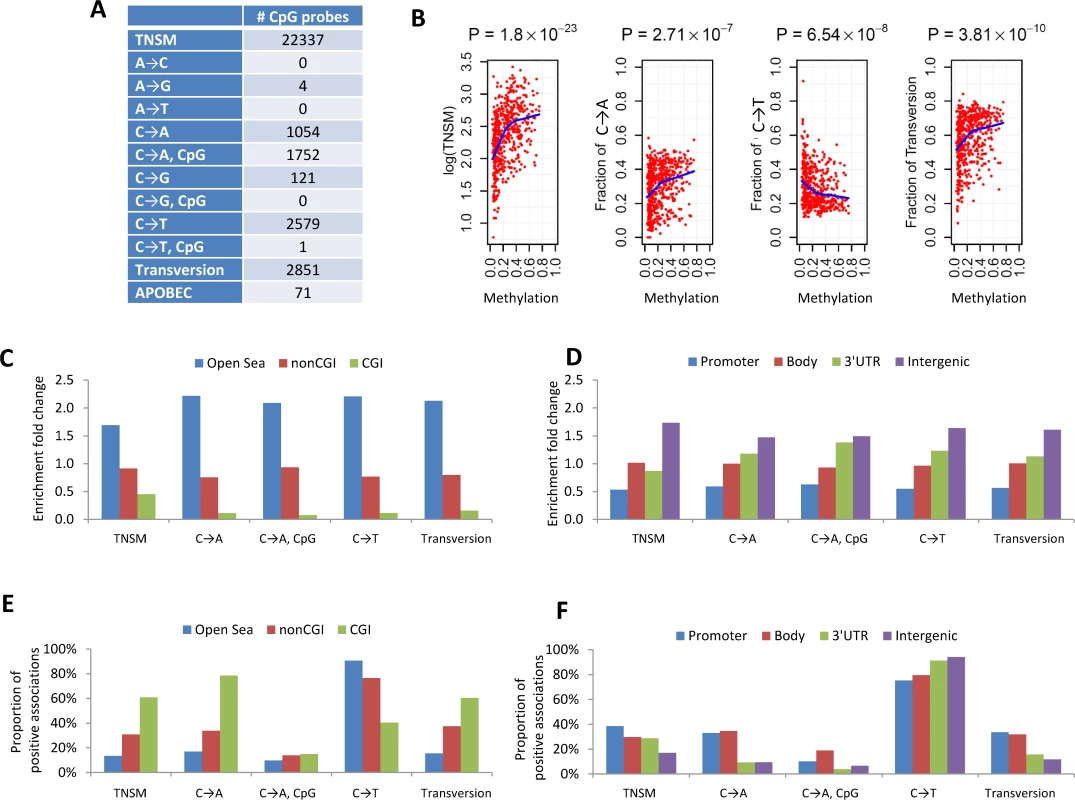 The associations between DNA methylation and somatic mutation signatures based on EAGLE and TCGA data.
