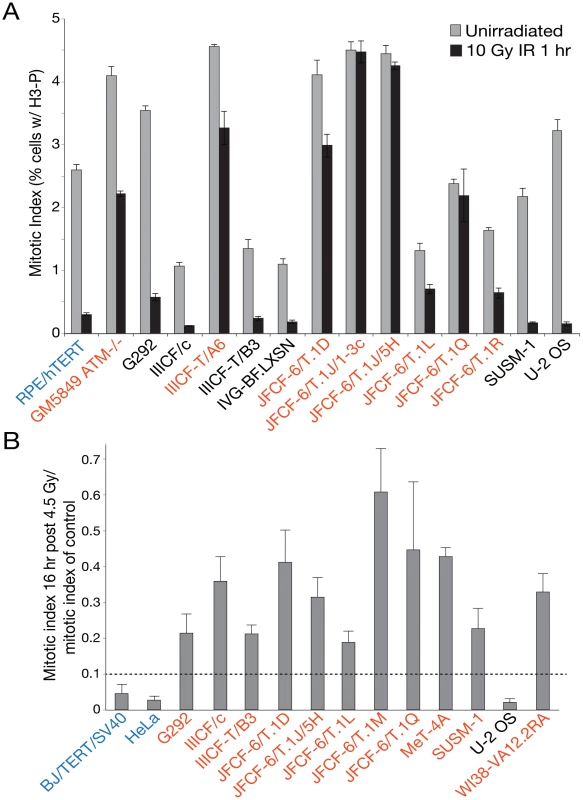 Many ALT lines have a defect in the G2/M checkpoint initiation and/or maintenance.