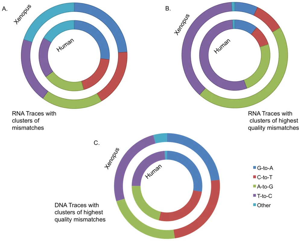Evidence for RNA editing in the cDNA traces.