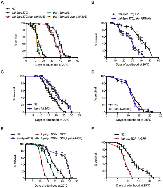 <i>tdp-1</i> regulates lifespan.