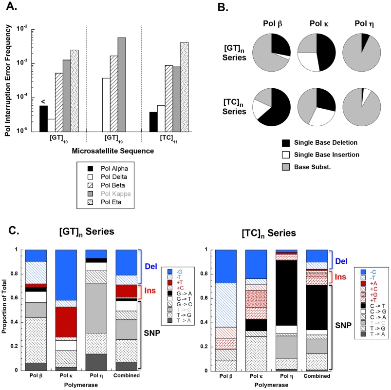 DNA polymerase interruption mutagenesis within [GT]<sub>n</sub> and [TC]<sub>n</sub> dinucleotide microsatellite sequences.
