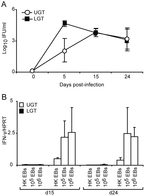 The dichotomy between upper and lower genital tract remains regardless of infectious dose.
