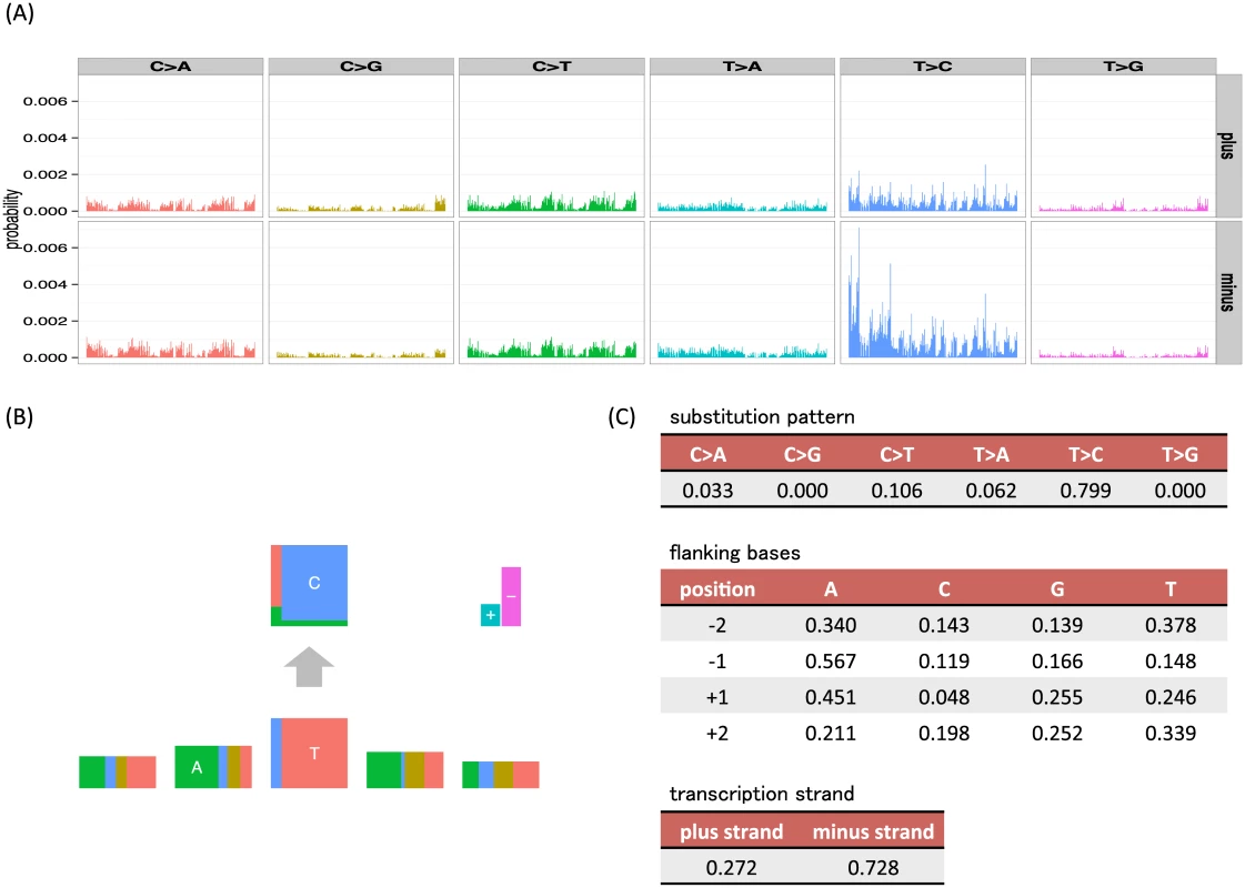 Examples of visualizations and parameter values for the mutation signatures of the unconstrained (full) model and our independent model, where substitution patterns, two 5′ and 3′ bases and transcription strand direction are considered as mutation features.