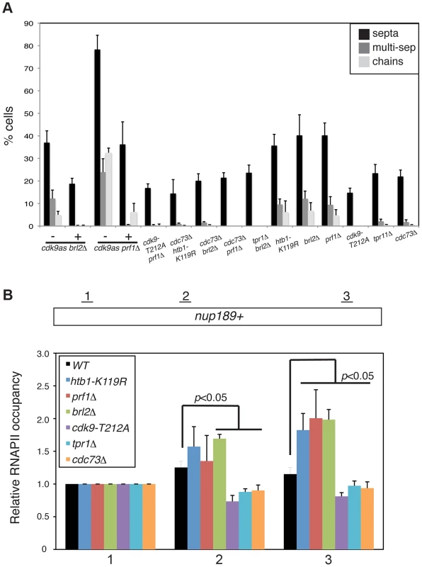 Prf1 and PAF pathways have opposing biological effects.
