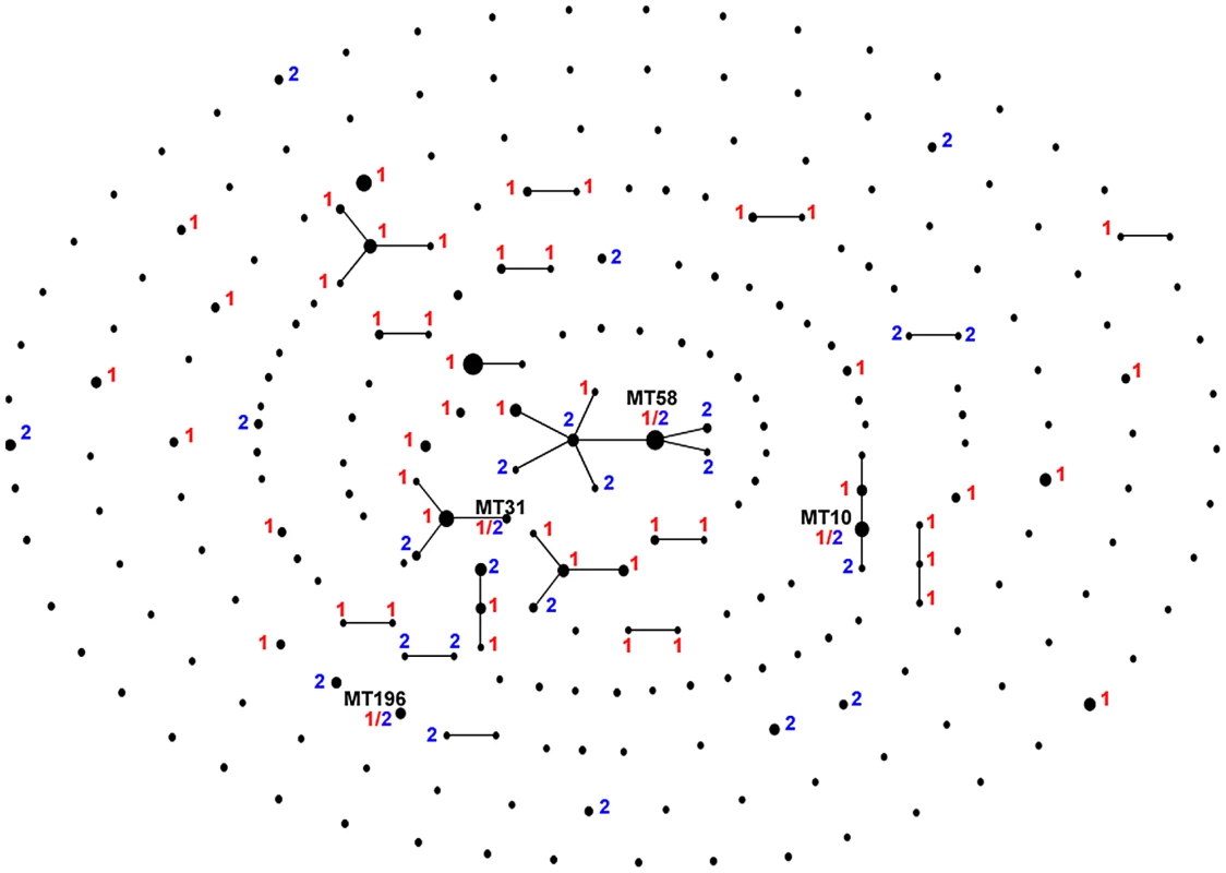 EBURST diagram showing clones with mating types.