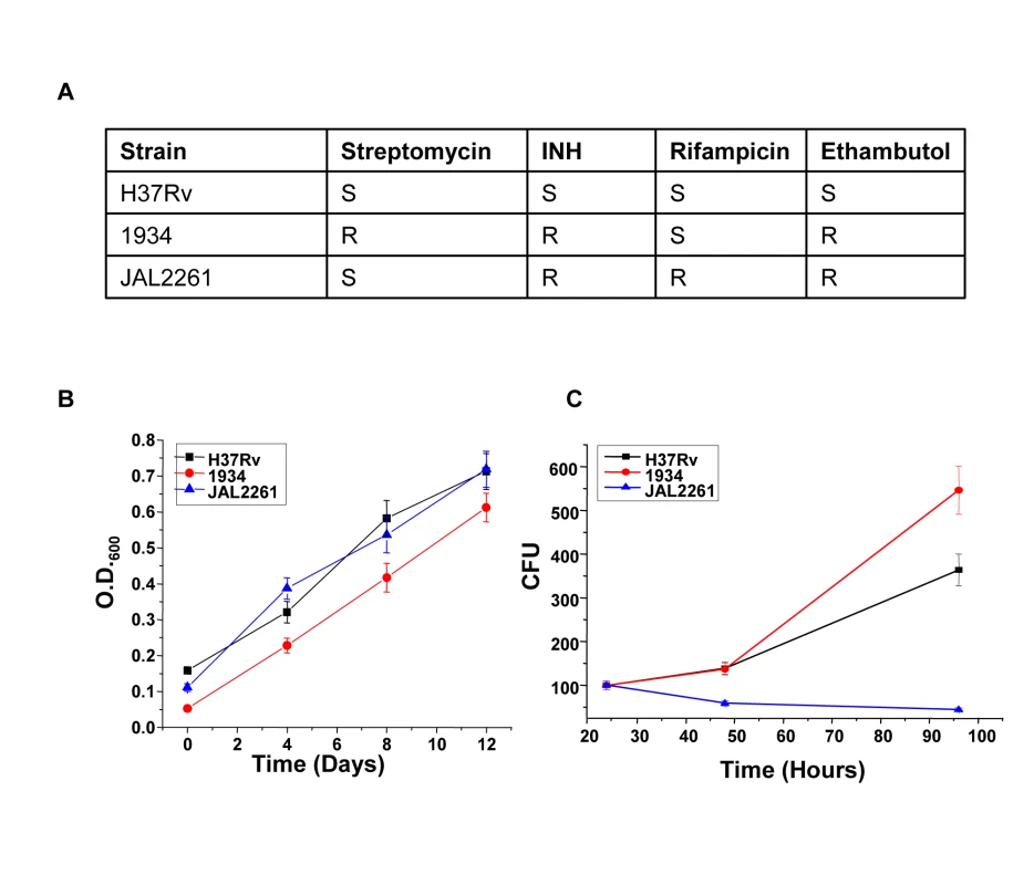 Intracellular growth properties of H37Rv and the two MDR isolates.