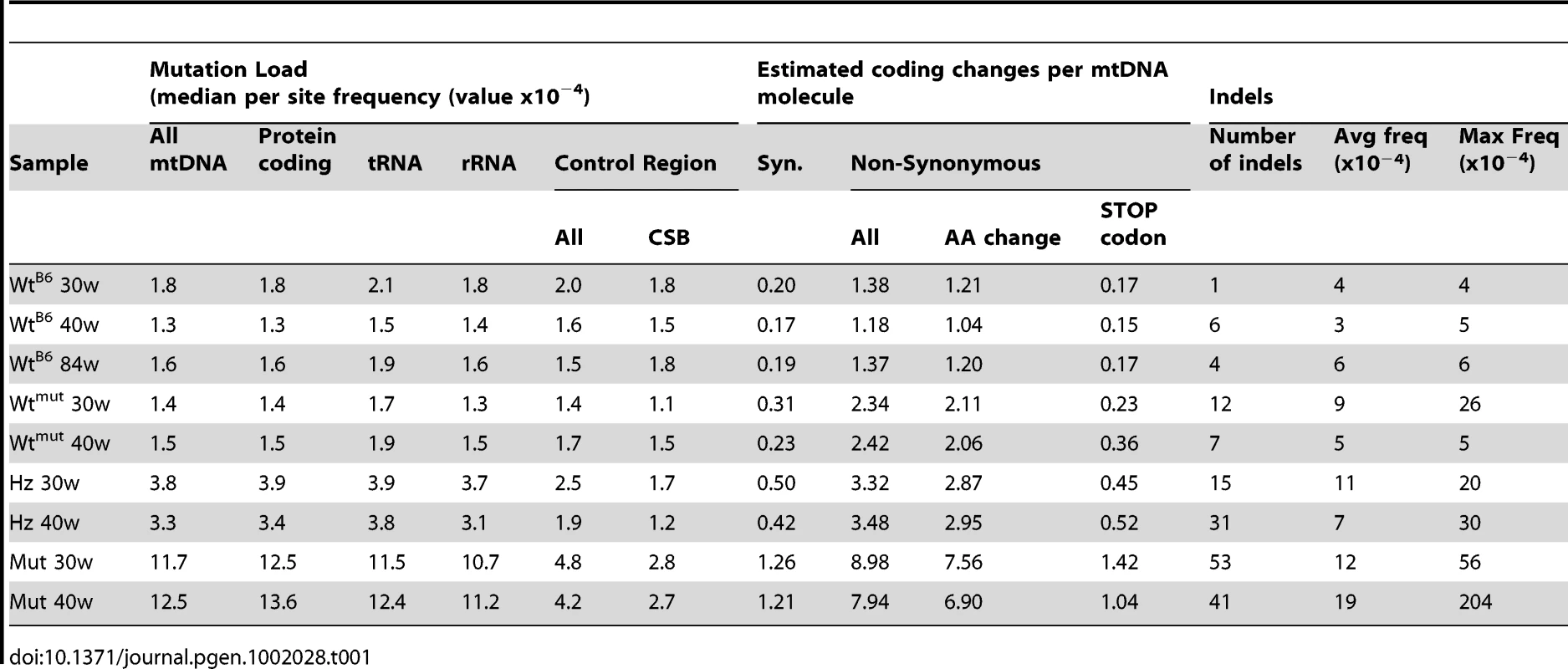 Distribution of mutations in the mtDNA samples.