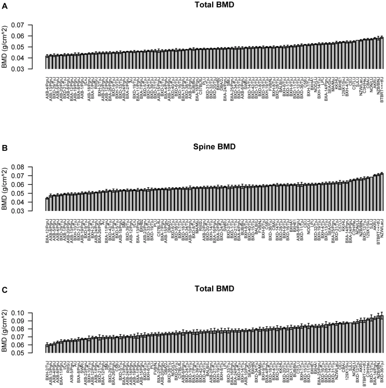 Characterization of bone mineral density (BMD) in the HMDP.