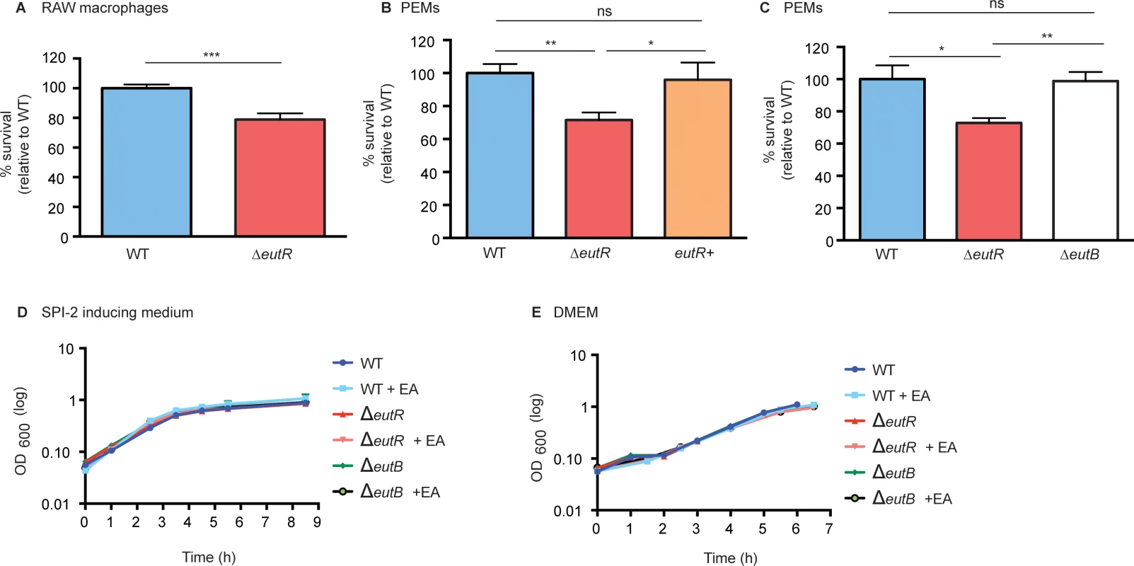 EutR enhances S. Typhimurium survival within macrophages.