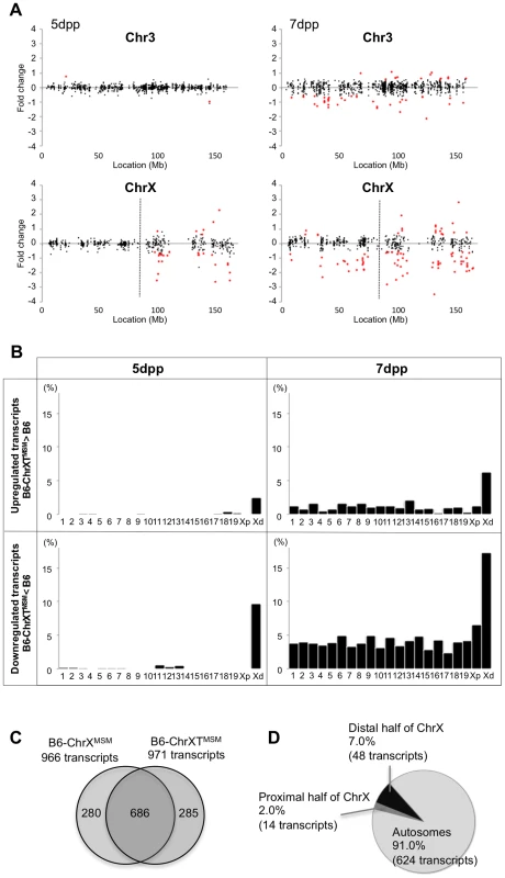 Differential expression of MSM-derived genes in B6-ChrXT<sup>MSM</sup> testes.