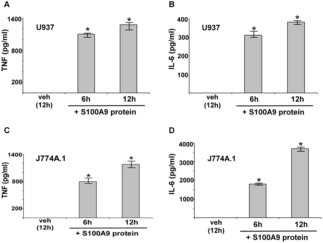 Extracellular S100A9 protein stimulates pro-inflammatory response in macrophages.