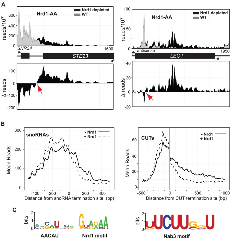 Mapping Nrd1-dependent terminators.