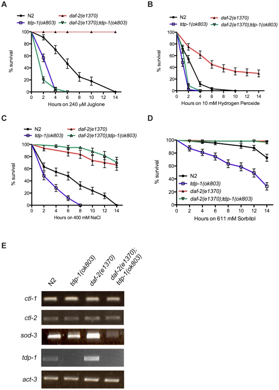 <i>tdp-1</i> specifies stress response signaling.