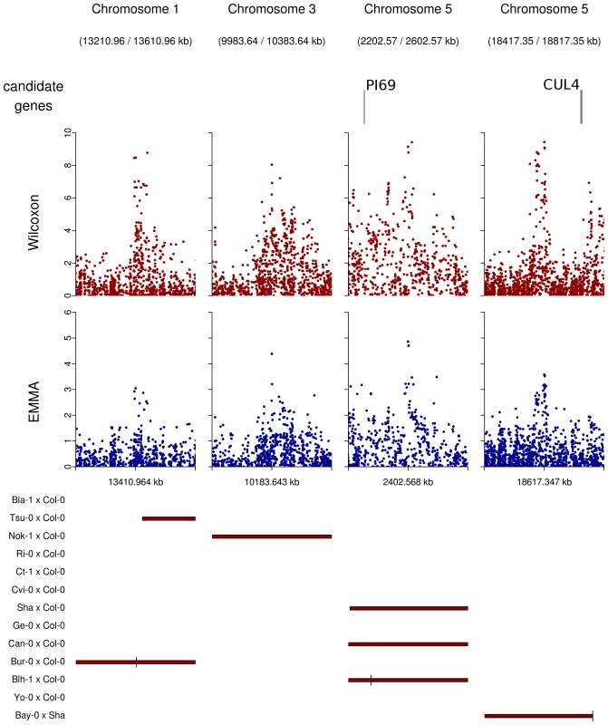 Peaks of associations with no candidate genes within a 20 kb region on either side of the top SNP (plotting window 400 kb).