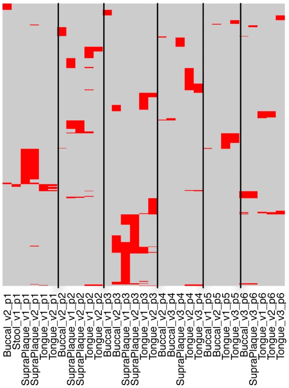 Sharing of streptococcal CRISPR spacers among samples from 6 individuals.