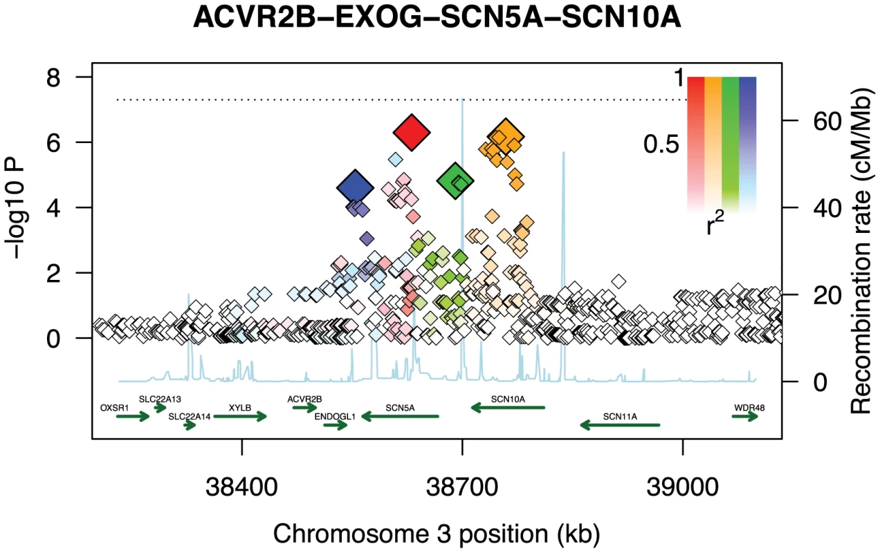 Multiple weak effects identified as genome-wide significant.