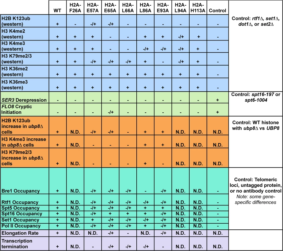 Summary of molecular defects tested in the H2A mutants.