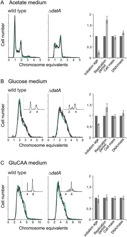 Deletion of the <i>datA</i> region changes the cell cycle parameters only during slow growth.