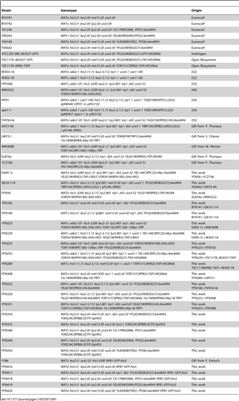 <i>S. cerevisiae</i> strains.