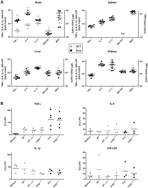 Differences in the host cytokine response to wild type and Evo strains <i>in vivo</i> and <i>in vitro</i>.