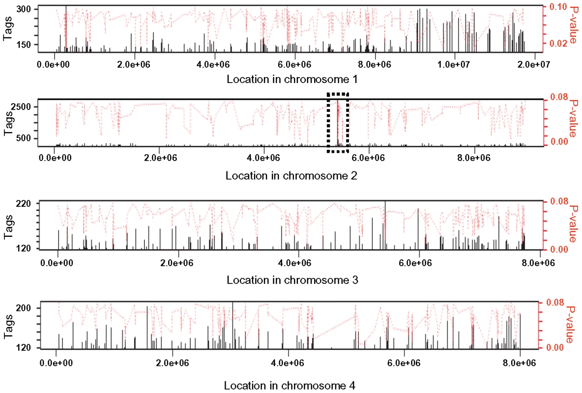 Browser shot of Tri6 binding sites in all four chromosome of <i>F. graminearum</i>.