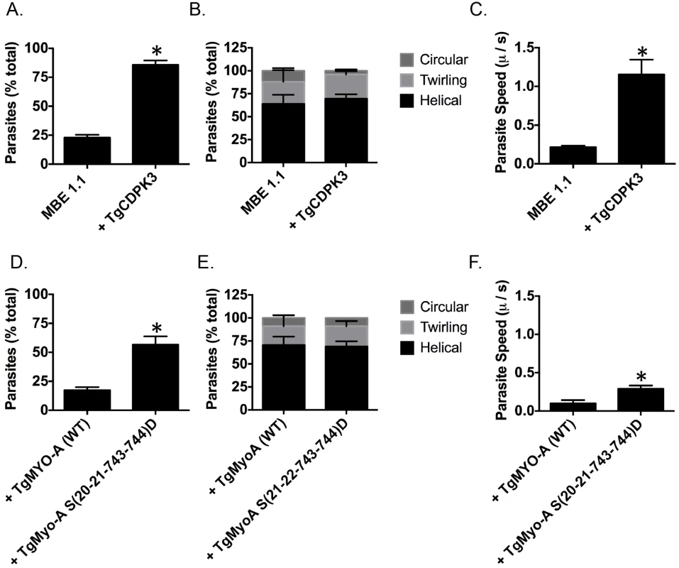 TgCDPK3 is required for initiation of motility.