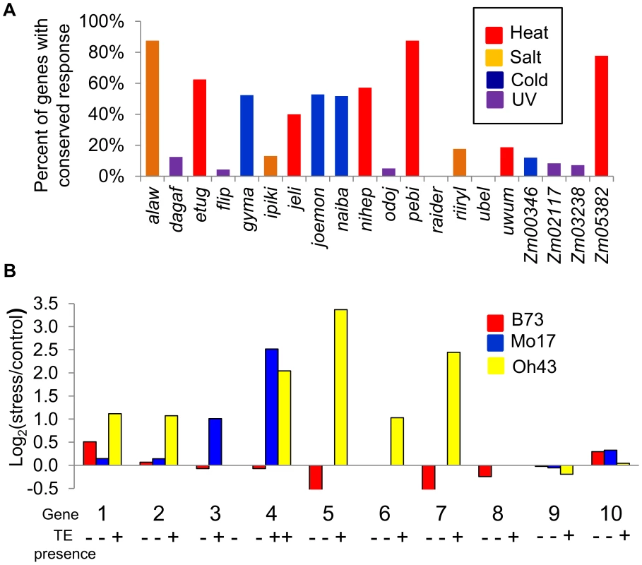 Stress-induced up-regulation of gene expression correlates with the variation in TE presence.