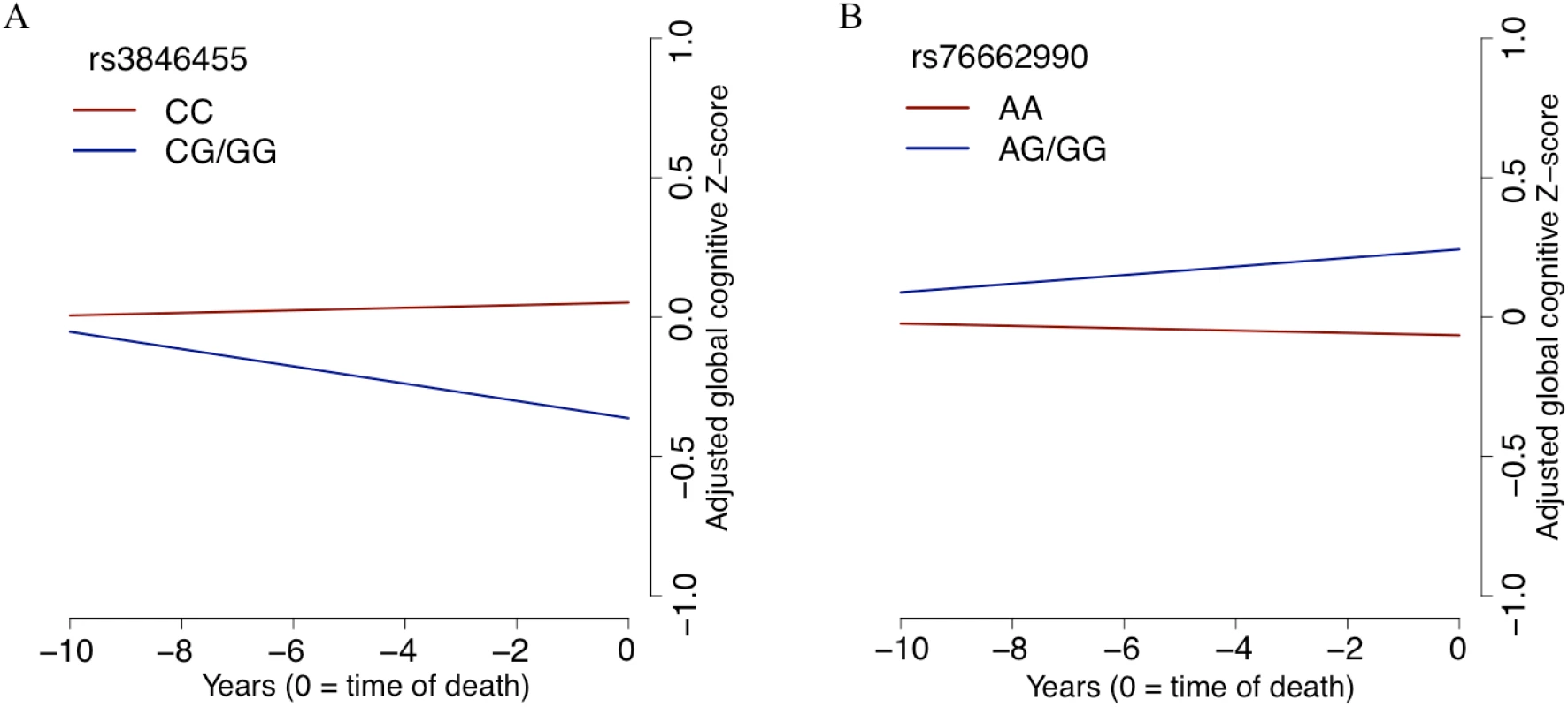 The slope of global cognitive decline by genotype.