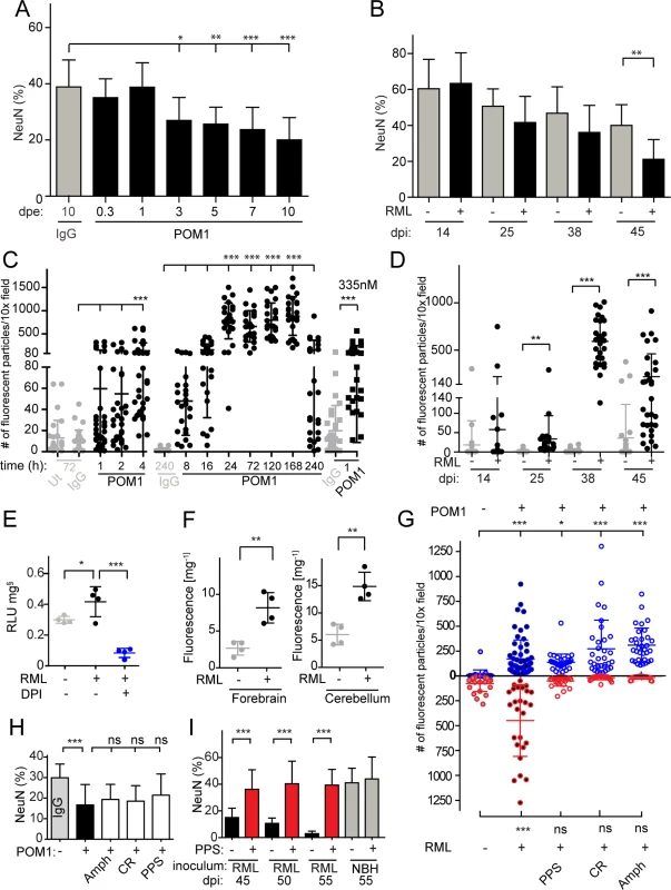 ROS is produced in both prion-infected and GDL-exposed COCS.