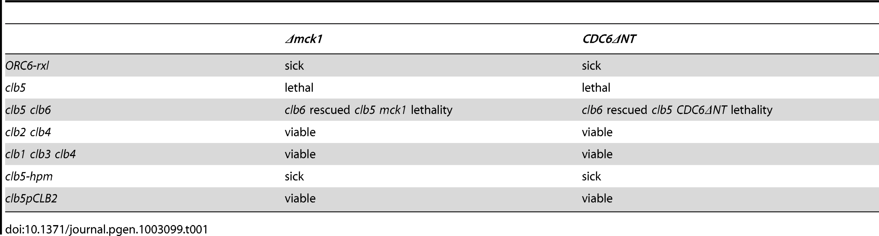 Genetic interaction between <i>mck1</i> deletion and cyclin mutants.
