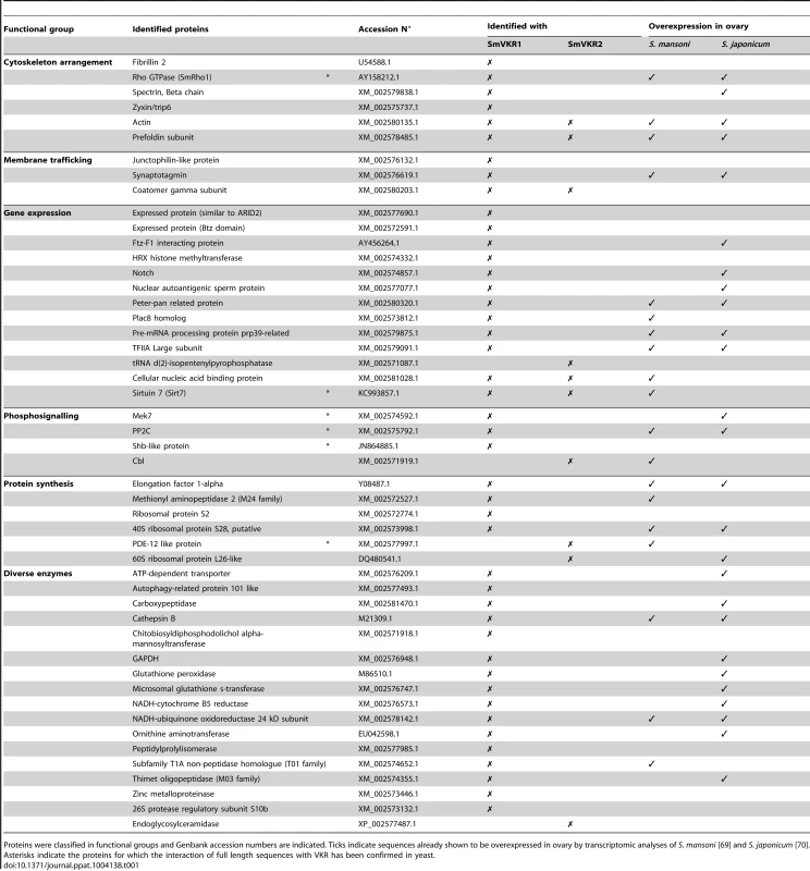 List of proteins identified by yeast-two-hybrid analyses using intracellular domains of SmVKR1 and SmVKR2 as baits.