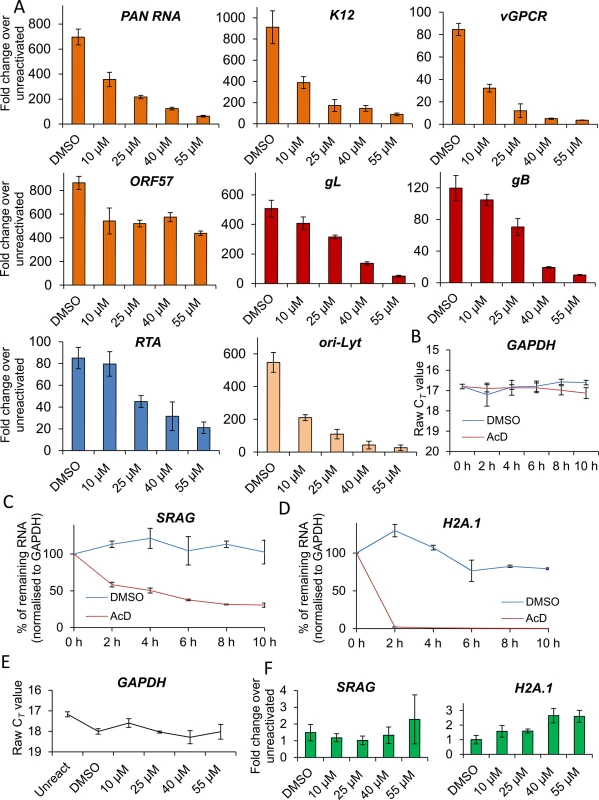 VER-155008 caused a significant reduction in viral transcripts in HEK-293T rKSHV.219 cells.