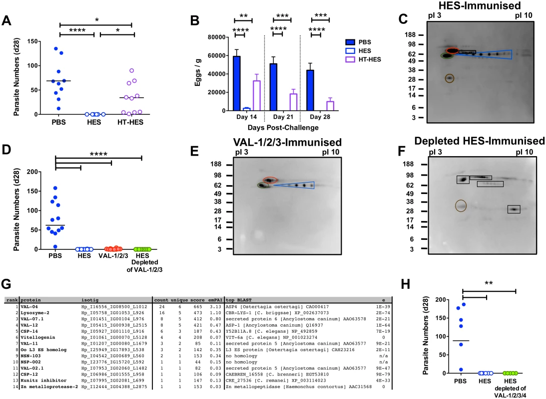 Identification of protective antigens following HES immunization.