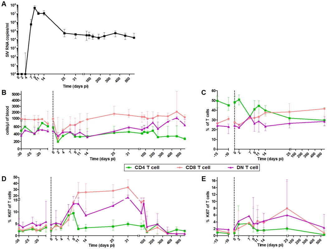 Follow-up of virological and immunological markers during primary SIVagm infection.