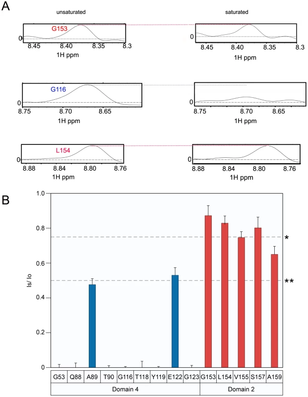 Receptor remains bound to PA domain 4 at pH 5.1. 