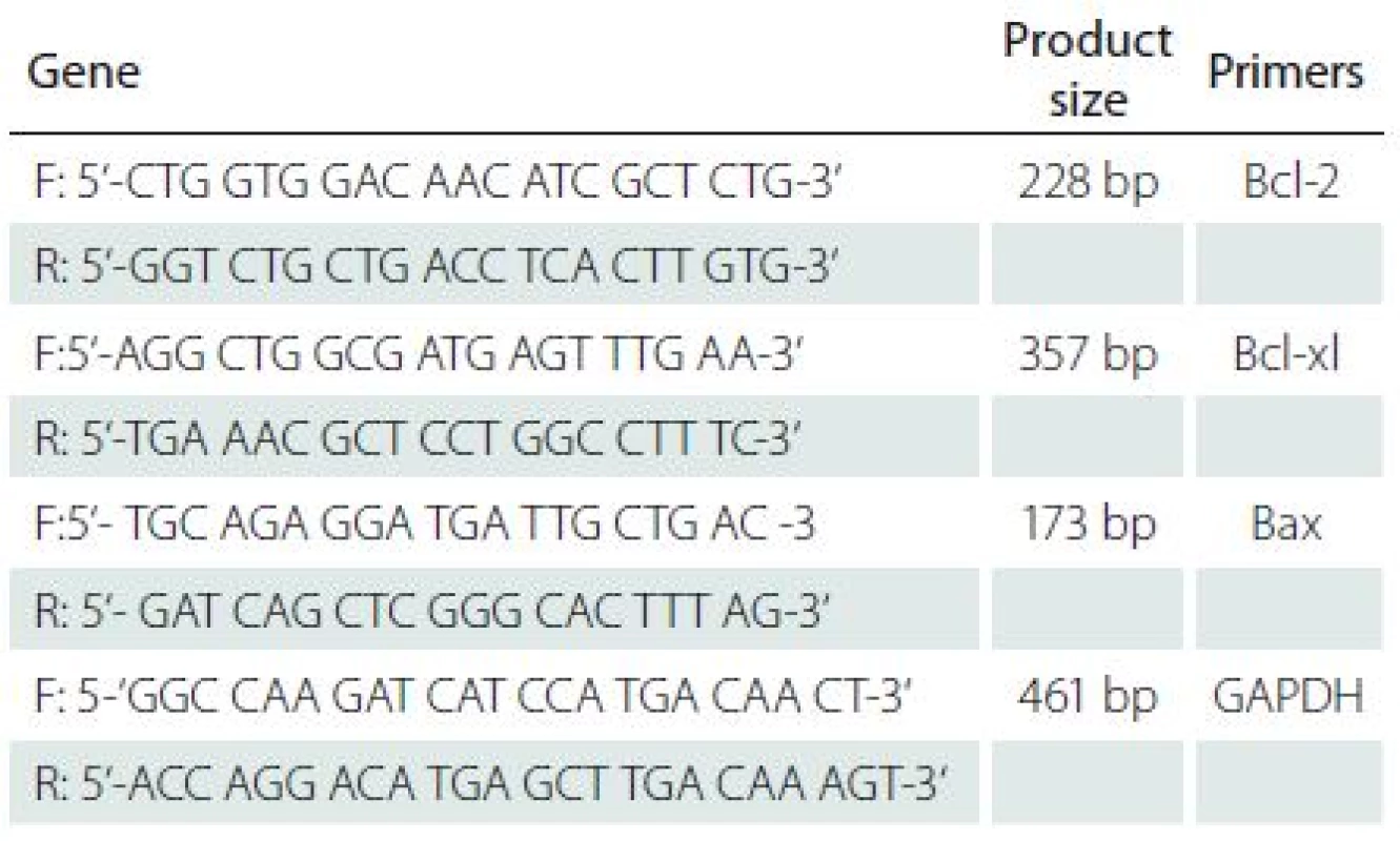 Primers used for RT-PCR method for Bcl-2, Bcl-xl, Bax, and GAPDH.