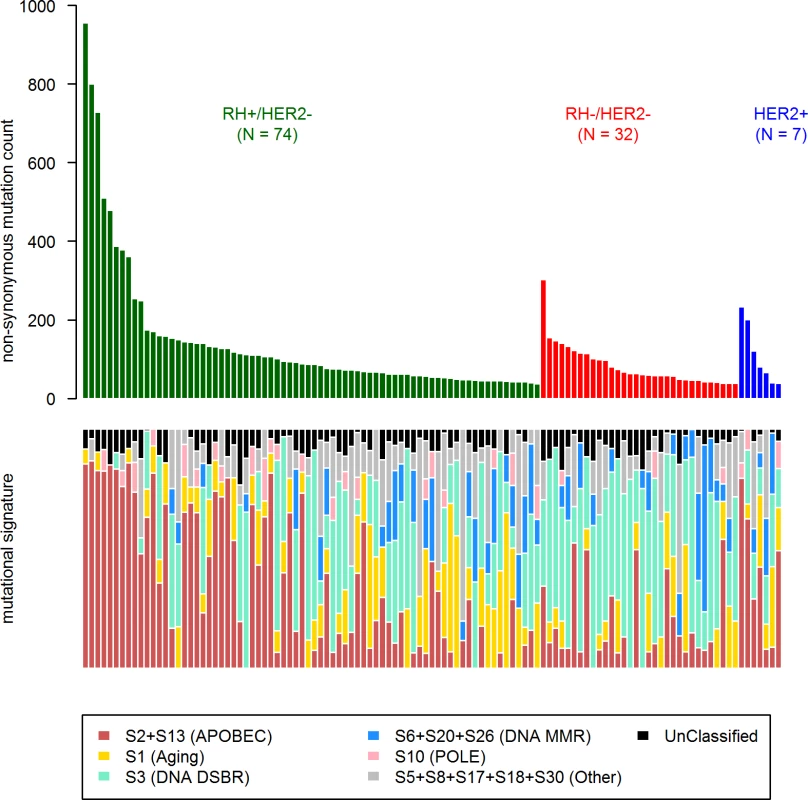 COSMIC mutational signature contribution in mBC.