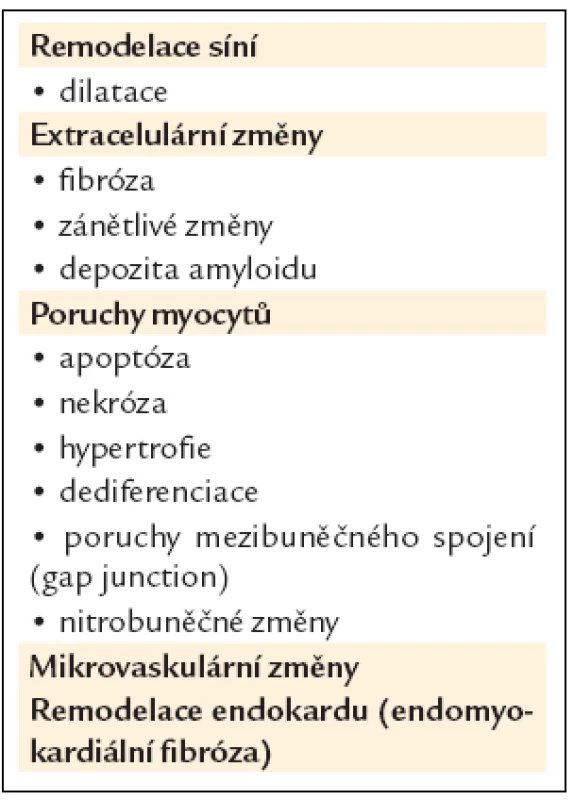Remodelační změny v síních, spojené se vznikem a udržováním fibrilace síní.