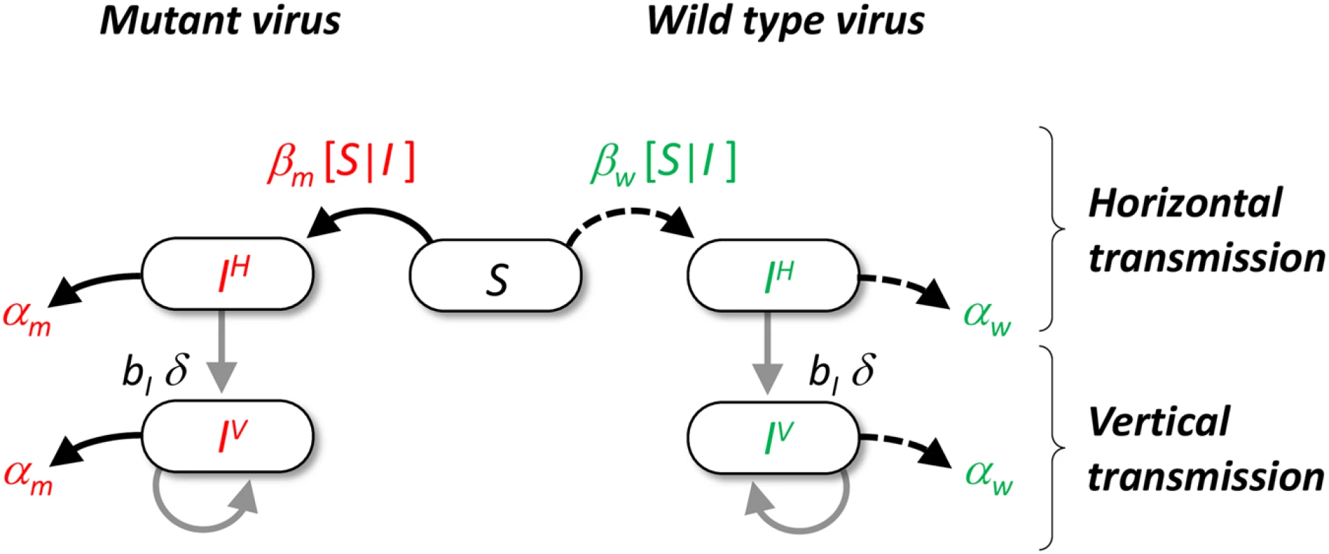 Schematic representation of the pathogen life cycle.