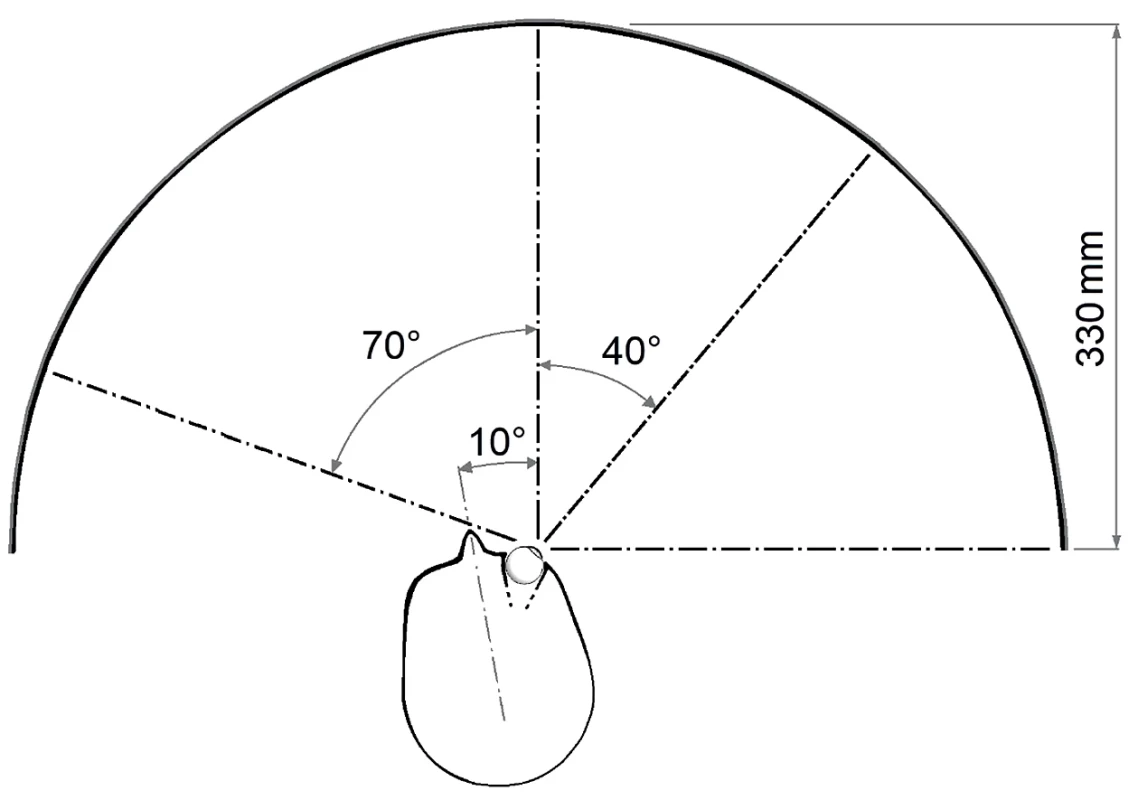Head position and eye rotation 40 degrees temporal