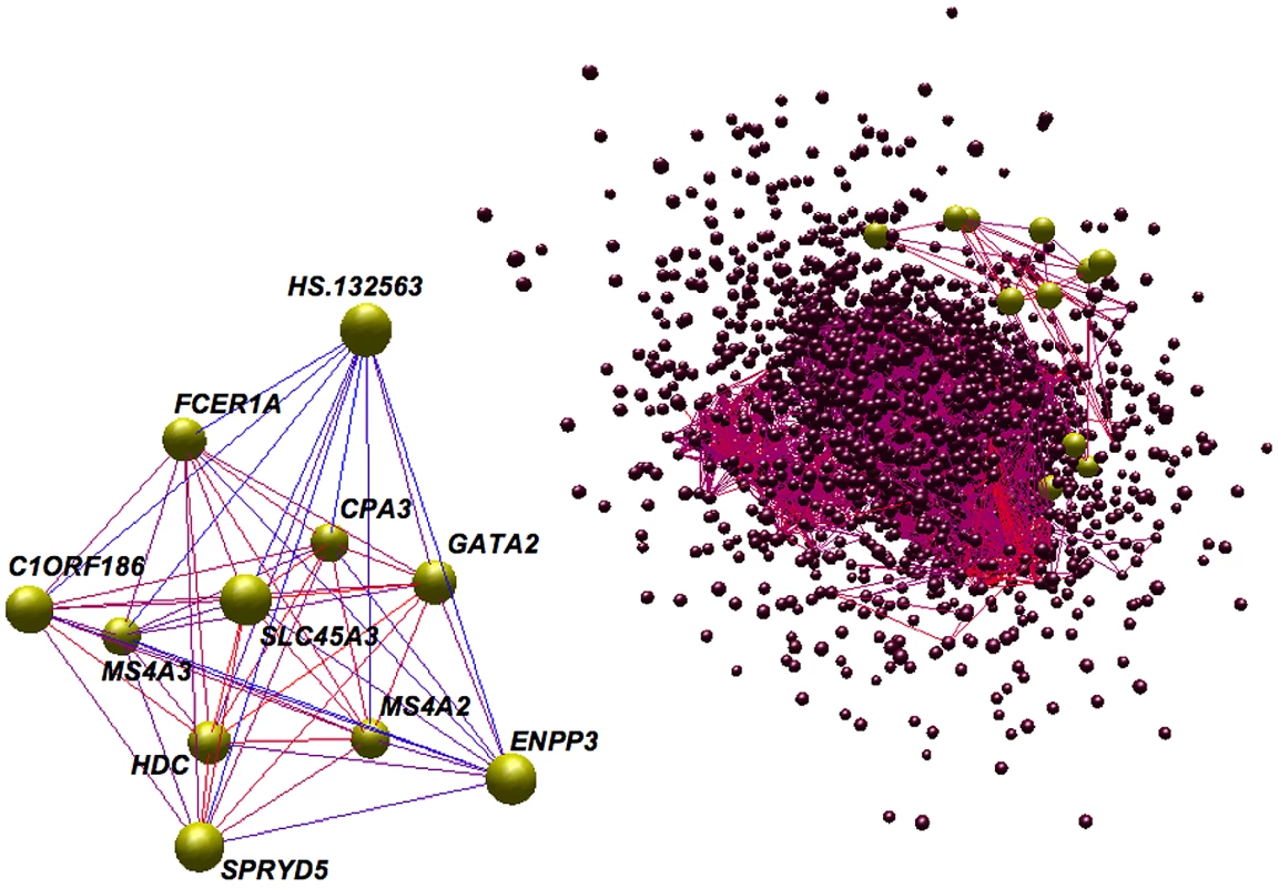 Topology of the network and the LL module.